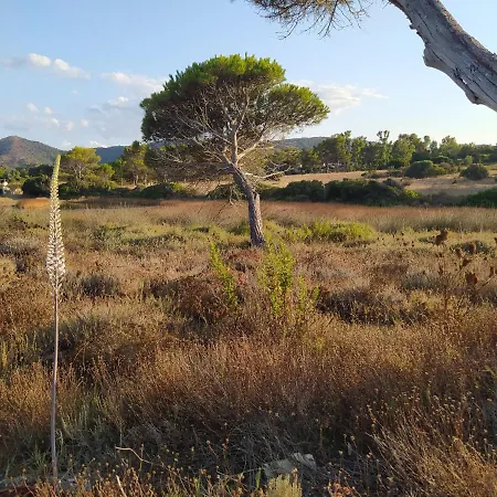 Casa Vacanze Wally A Posada, Sardegna Exterior photo