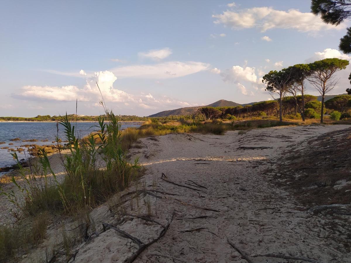 Wally A Posada, Sardegna